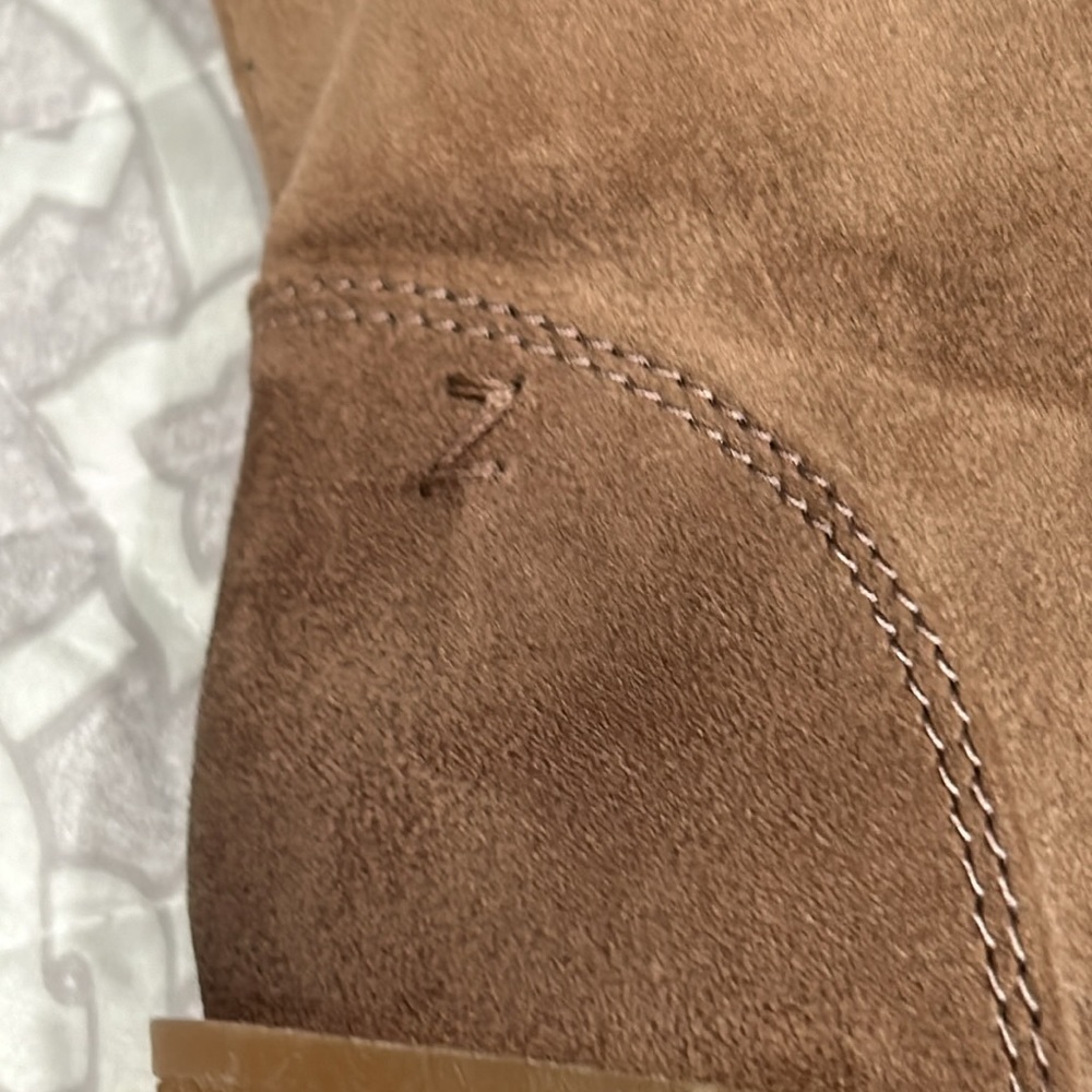 Zodiac- Platform Lace-up Suede Boots - Picture 10 of 10